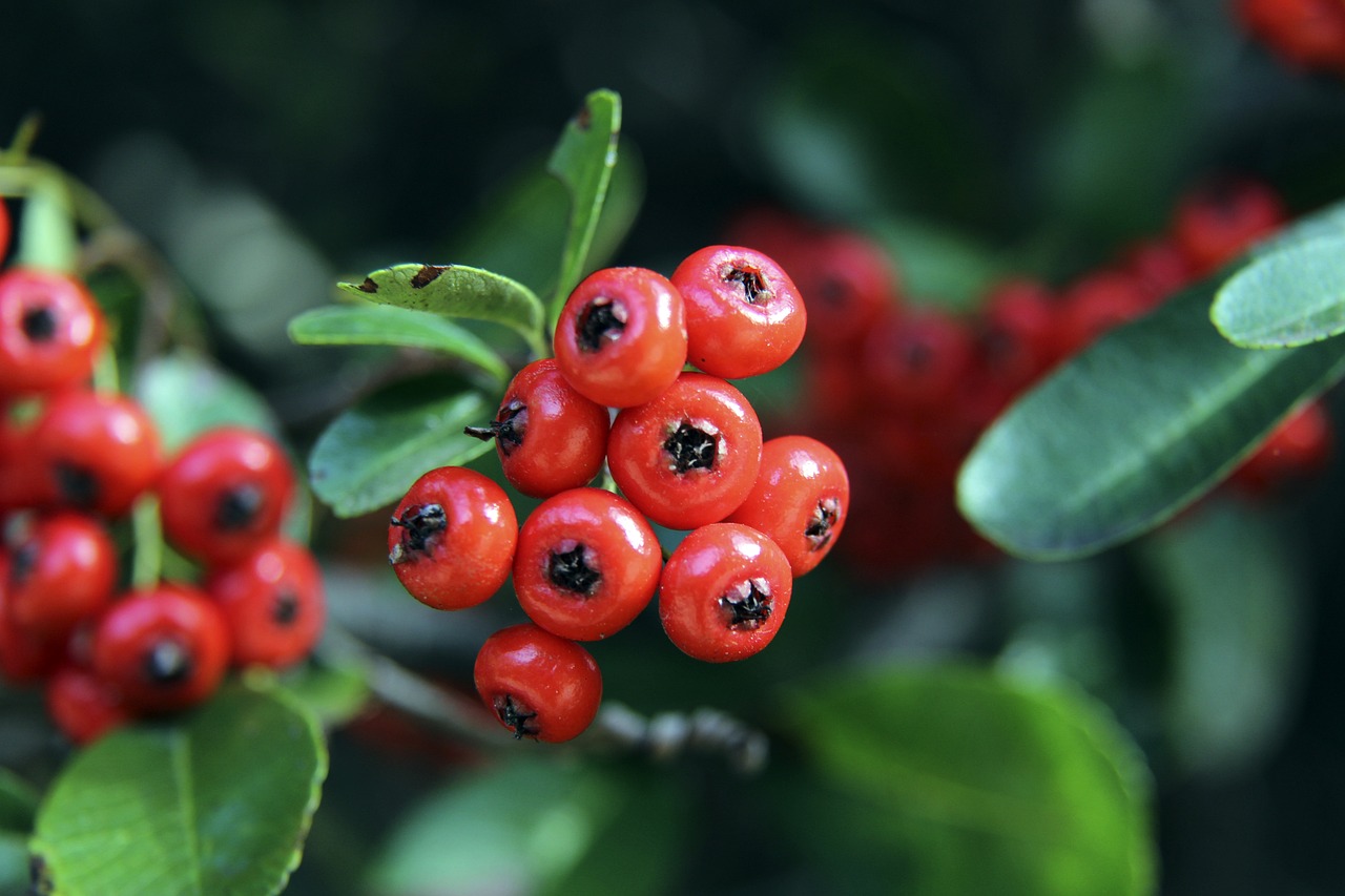 0个篮板和 0个篮板和