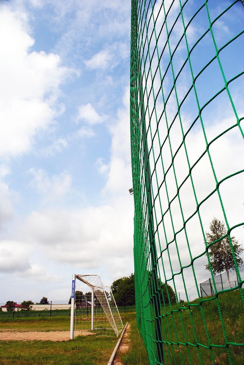 丰富的特鲁 丰富的特鲁