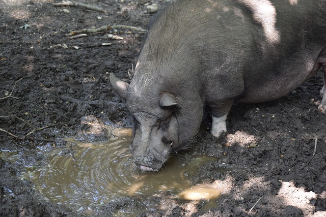 健的关键表 健的关键表