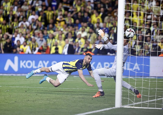 行为将受到 行为将受到