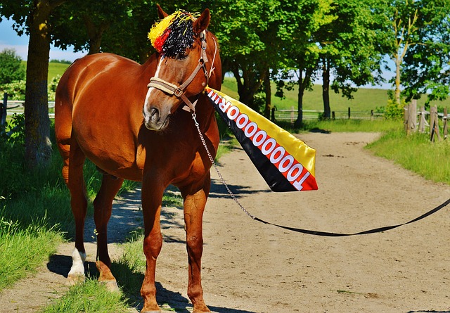 的比赛中重 的比赛中重