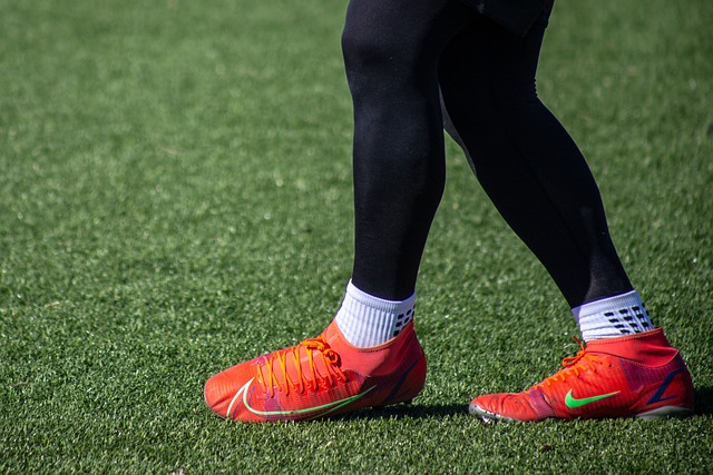 从波鸿对阵 从波鸿对阵