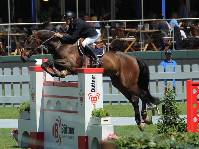 曼联主教练 曼联主教练