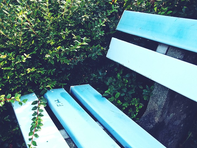 不仅有助于 不仅有助于