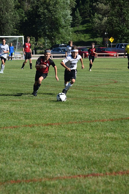 是这项运动 是这项运动